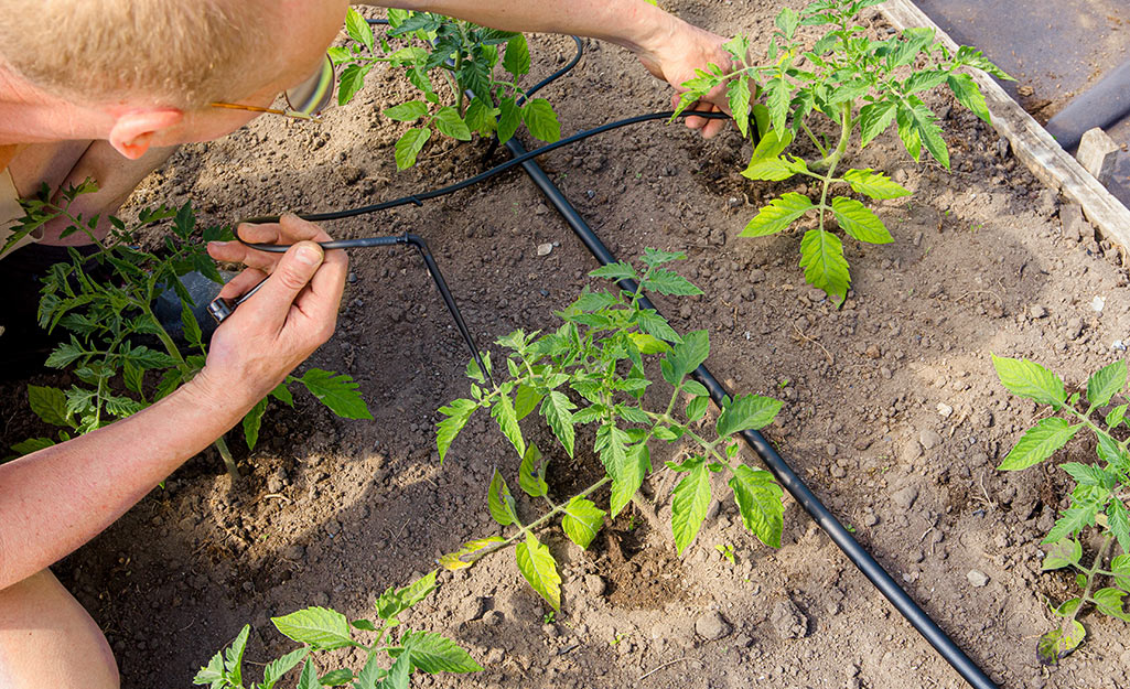 how often to run irrigation system