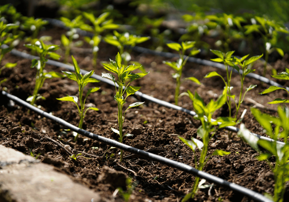 how to install drip irrigation to existing sprinkler system