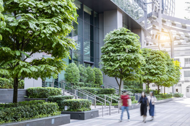 bioclimatic architecture explained