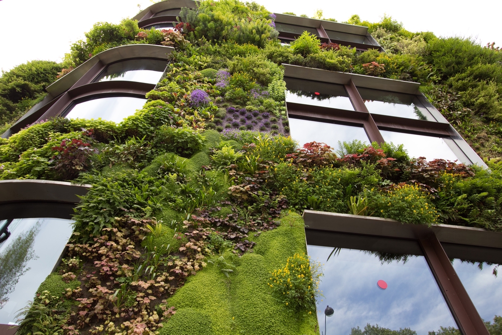 future of sustainable urban living