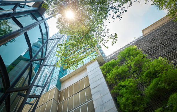 bioclimatic architecture explained