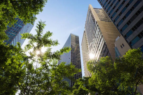 View of Natural Ventilation in Building Design: Key Insights for Home ...