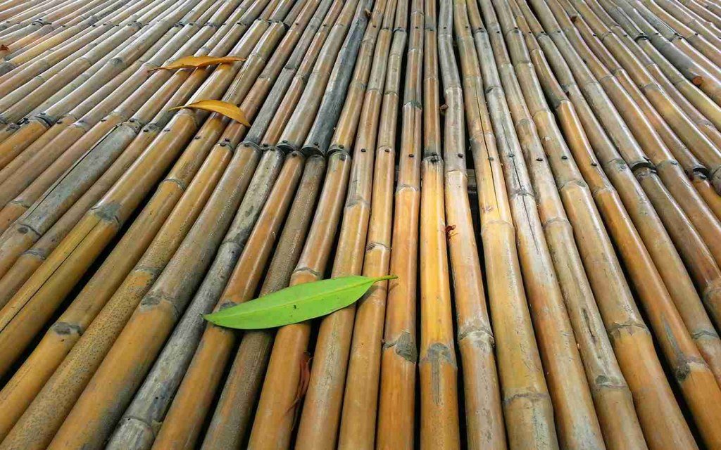 Natural Building Materials for Homes: A Healthier Way to Build Natural Building Materials for Homes: A Healthier Way to Build