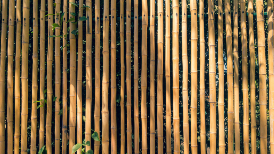 Natural Insulation Materials for Homes: Keep Your Air Clean