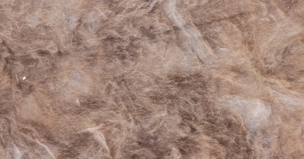 How to Choose the Right Insulation
